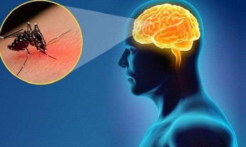 Điểm tin báo ngày 13/06/2022