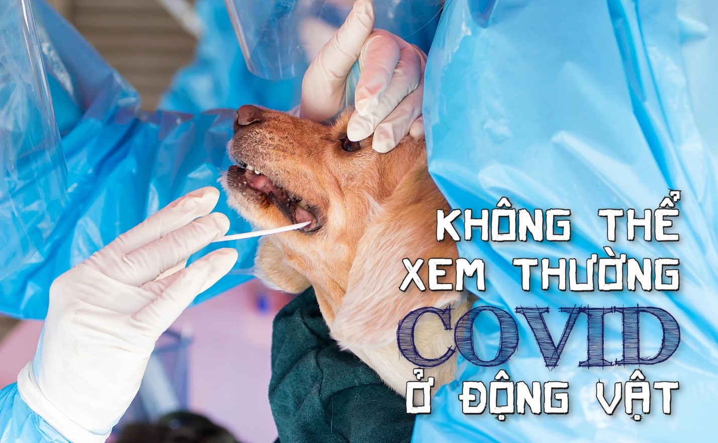 Điểm tin nhanh ngày 22/08/2022