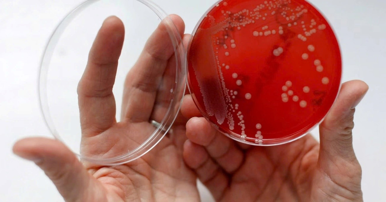 Điểm tin nhanh ngày 22/9/2025