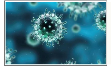 Điểm tin nhanh ngày 26/07/2022