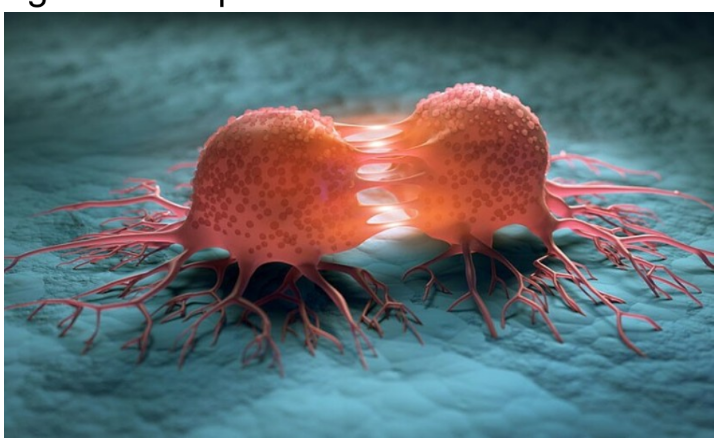 Điểm tin nhanh ngày 30/09/2022