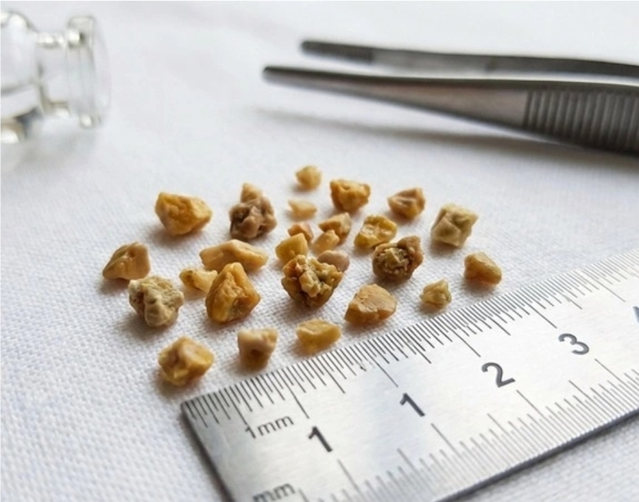 Điểm tin nhanh ngày 31/01/2026