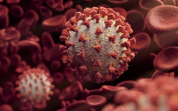 Thông báo khẩn: Tìm người từng đến Chợ Khu phố 2, Phường An Lạc, Quận Bình Tân