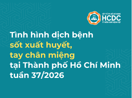 Tình hình dịch bệnh sốt xuất huyết, tay chân miệng trên địa bàn TP. Hồ Chí Minh tính đến tuần 37/2026