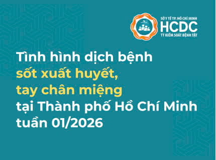 Tình hình dịch bệnh sốt xuất huyết, tay chân miệng trên địa bàn TP. Hồ Chí Minh tuần 01/2026