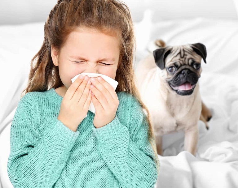 Vì củ hành mà nguy kịch tính mạng, sốc phản vệ đến dễ dàng vậy sao?