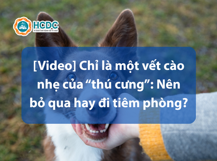 [Video] Chỉ là một vết cào nhẹ của “thú cưng”: Nên bỏ qua hay đi tiêm phòng?