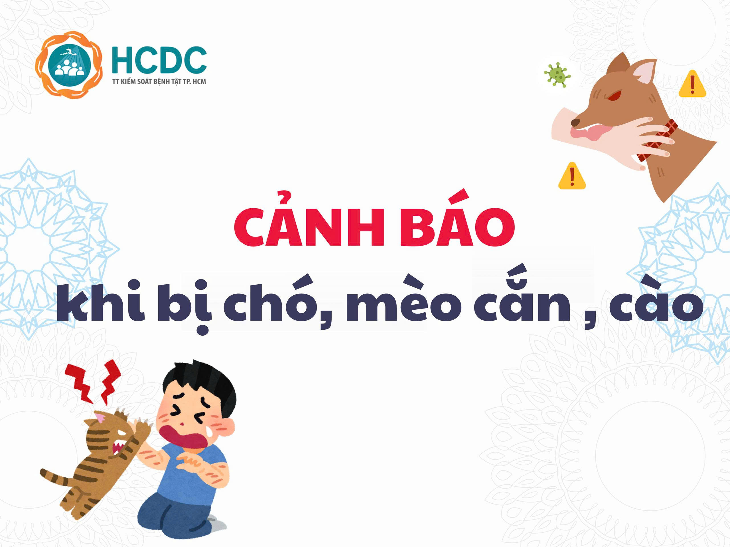 Cảnh báo khi bị chó, mèo cắn, cào
