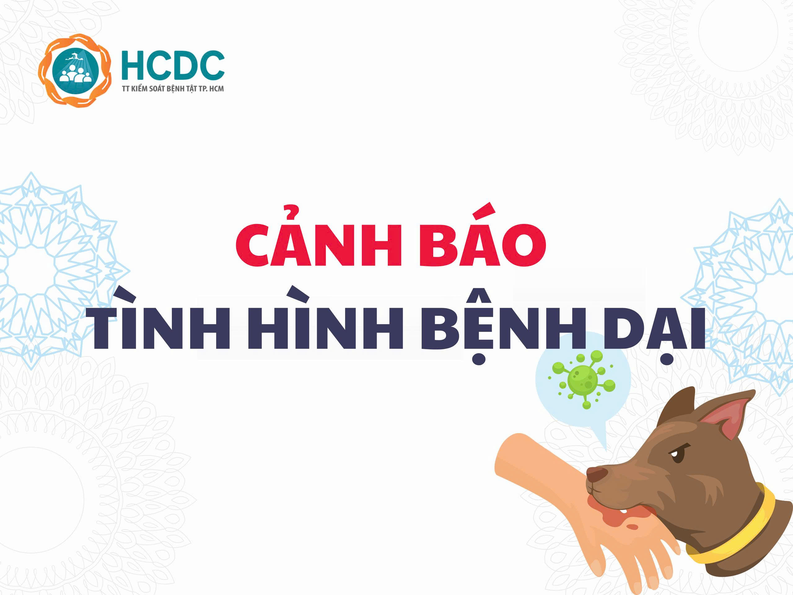 Cảnh báo tình hình bệnh dại