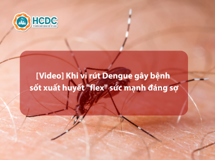 [Video] Khi vi rút Dengue gây bệnh sốt xuất huyết "flex" sức mạnh đáng sợ