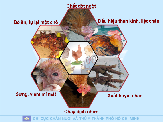 Điểm tin nhanh ngày 04/3/2023