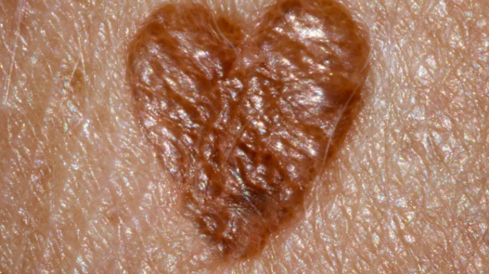 Điểm tin nhanh ngày 09/11/2023