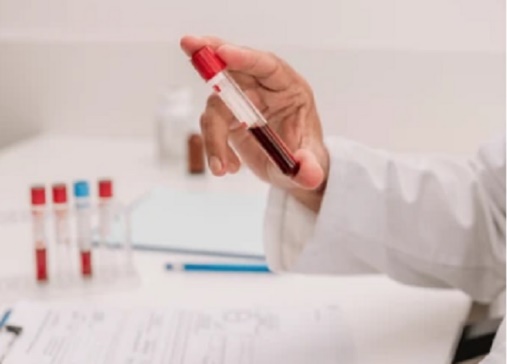 Điểm tin nhanh ngày 12/11/2023