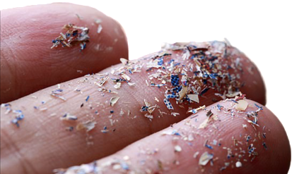 Điểm tin nhanh ngày 14/3/2024