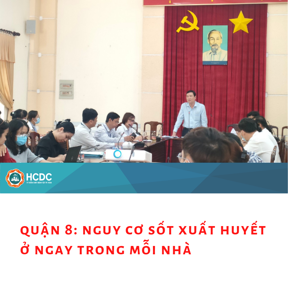 Quận 8: Nguy cơ Sốt xuất huyết ở ngay trong mỗi nhà