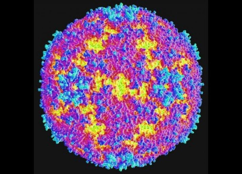 Sở Y tế TP.HCM cảnh báo tác nhân EV71 xuất hiện trở lại