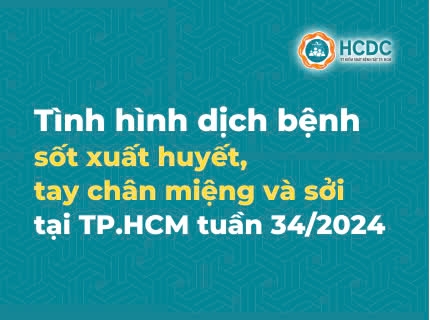 Tình hình dịch bệnh sốt xuất huyết, tay chân miệng và sởi tại TP. Hồ Chí Minh tính đến tuần 34/2024