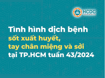 Tình hình dịch bệnh sốt xuất huyết, tay chân miệng và sởi tại TP. Hồ Chí Minh tính đến tuần 43/2024