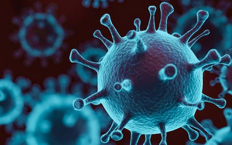 TP.HCM: Tình hình dịch bệnh tuần 01 (từ ngày 26/12/2022 đến 01/01/2023)