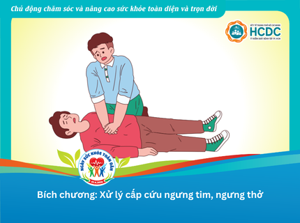 Bích chương: Xử lý cấp cứu ngưng tim, ngưng thở