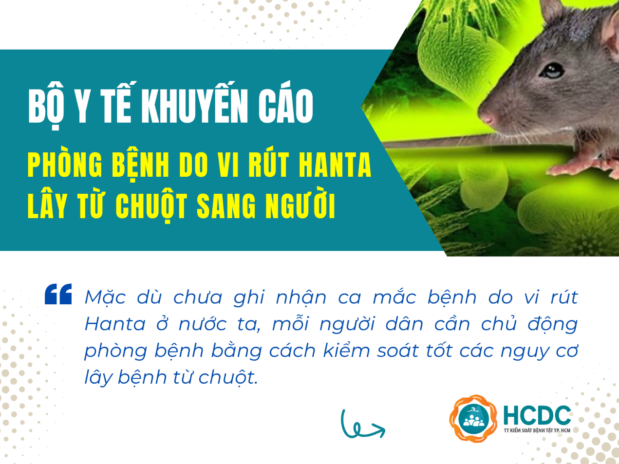 Bộ Y tế khuyến cáo phòng bệnh do vi rút Hanta lây từ chuột sang người