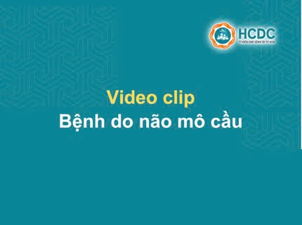 Các video về bệnh do não mô cầu