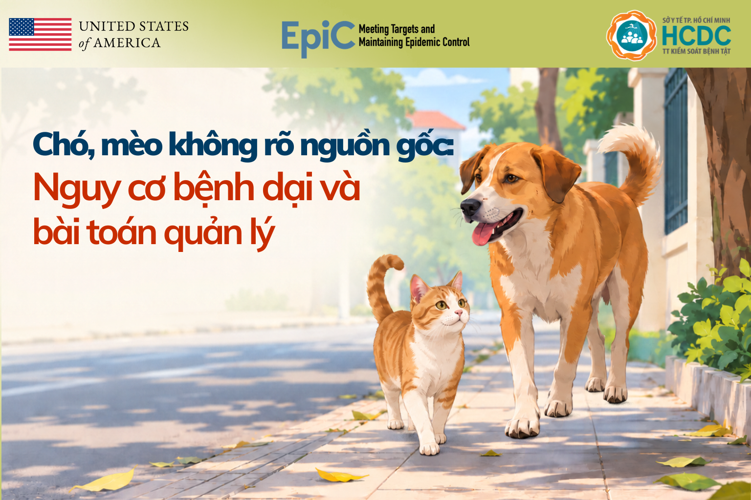 Chó, mèo không rõ nguồn gốc: Nguy cơ bệnh dại và bài toán quản lý