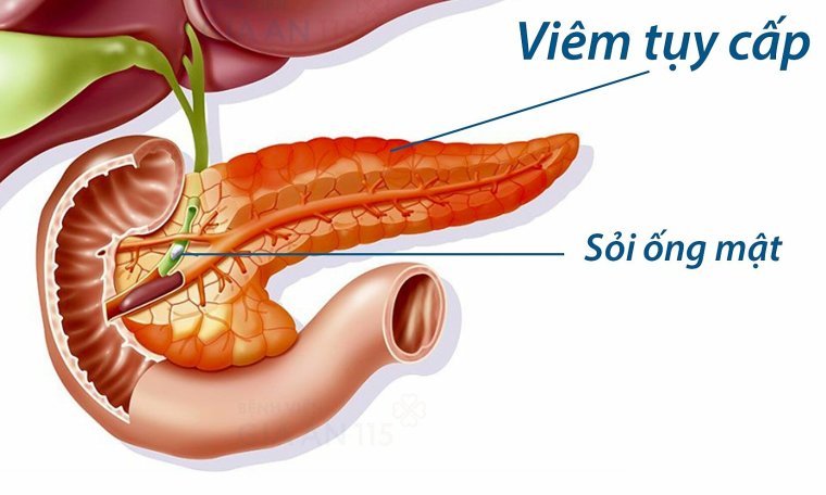 Điểm tin nhanh ngày 02/09/2022