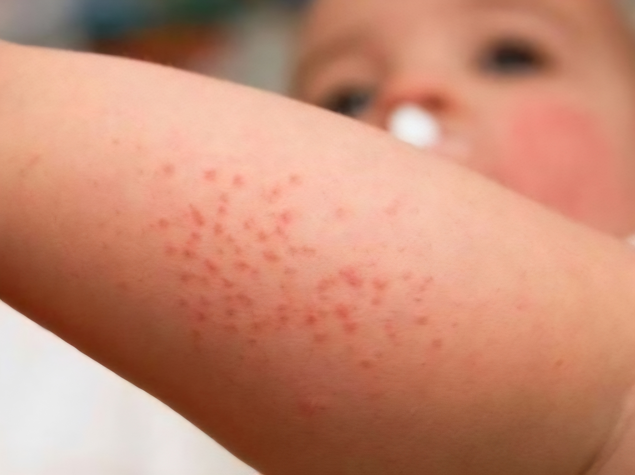 Điểm tin nhanh ngày 13/12/2025