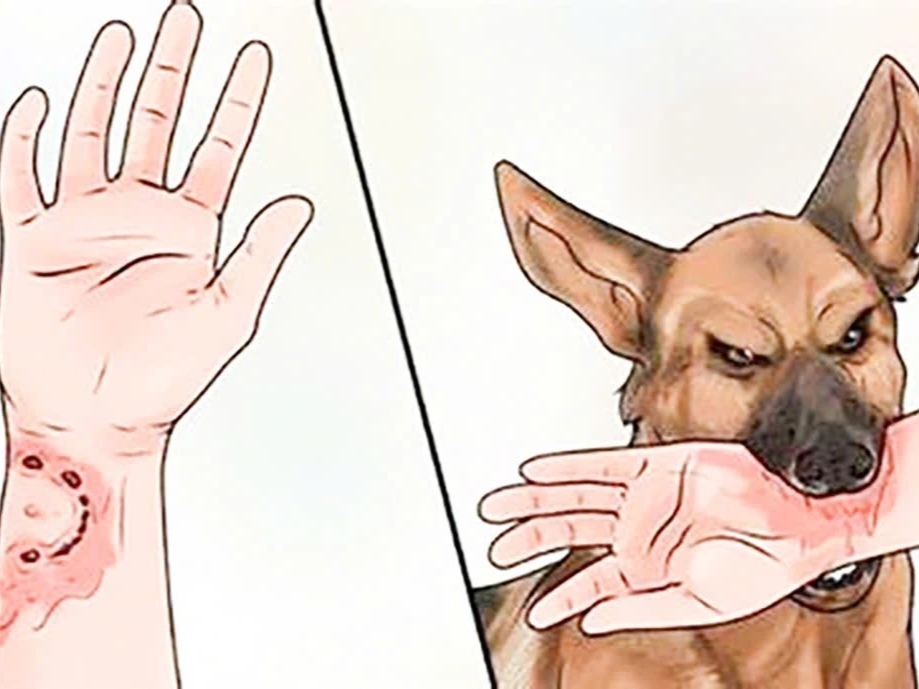 Điểm tin nhanh ngày 18/09/2025