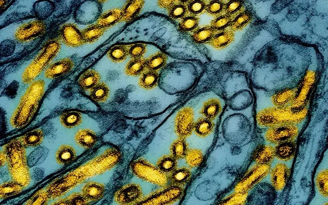 Điểm tin nhanh ngày 19/12/2024