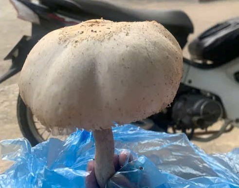 Điểm tin nhanh ngày 22/4/2025