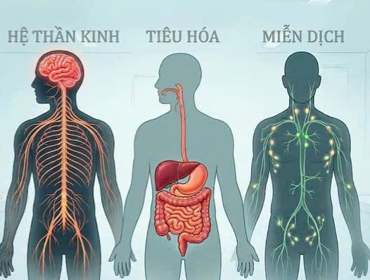 Điểm tin nhanh ngày 29/7/2026
