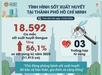 Info Chủ động phòng bệnh sốt xuất huyết khi mùa mưa đến
