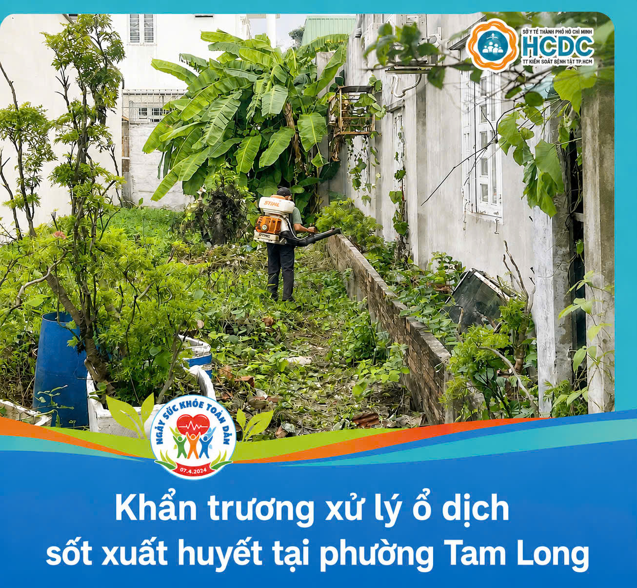 Khẩn trương xử lý ổ dịch sốt xuất huyết tại phường Tam Long