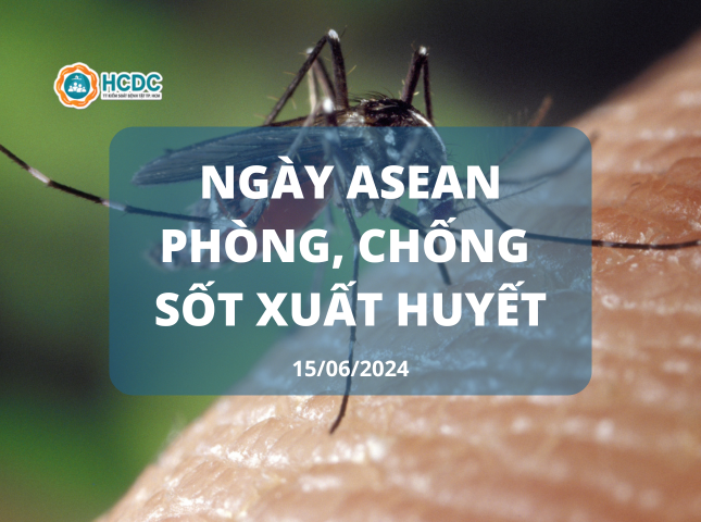 Ngày ASEAN phòng, chống sốt xuất huyết: Tìm và loại bỏ nơi muỗi vằn đẻ trứng