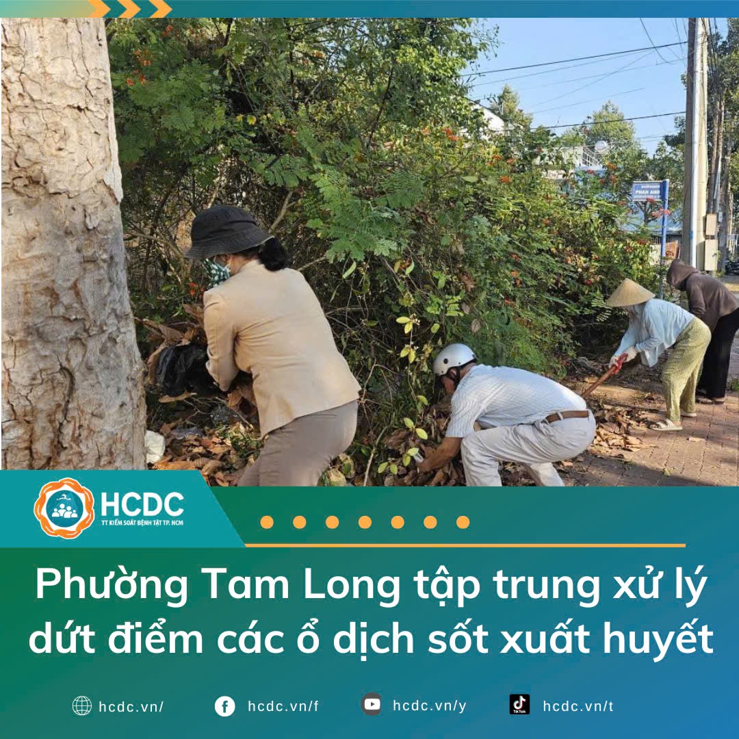 Phường Tam Long tập trung xử lý dứt điểm các ổ dịch sốt xuất huyết