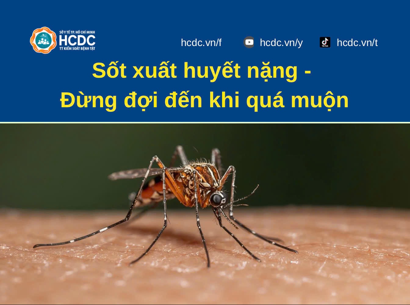 Sốt xuất huyết nặng - Đừng đợi đến khi quá muộn