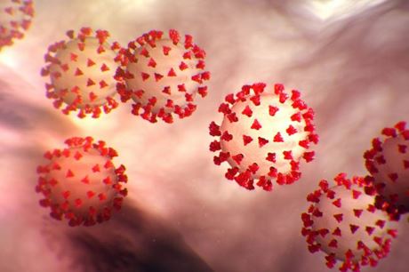 Tình hình dịch bệnh Covid – 19 tại Thành phố Hồ Chí Minh (cập nhật 7g ngày 26/3/2020)