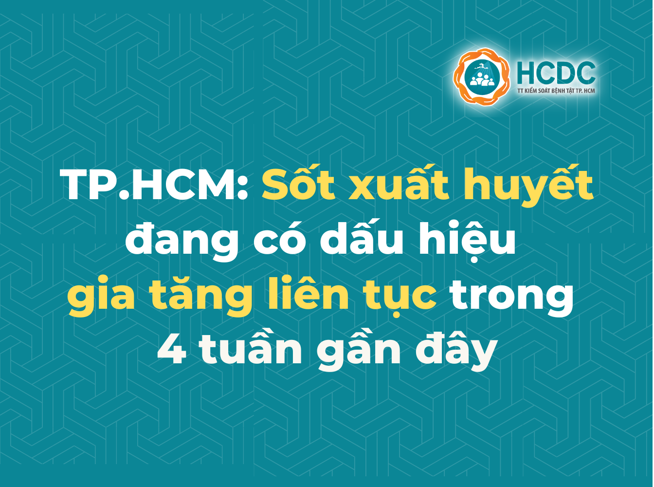 Tình hình dịch bệnh sốt xuất huyết, tay chân miệng và sởi tại TP. Hồ Chí Minh tính đến tuần 44/2024