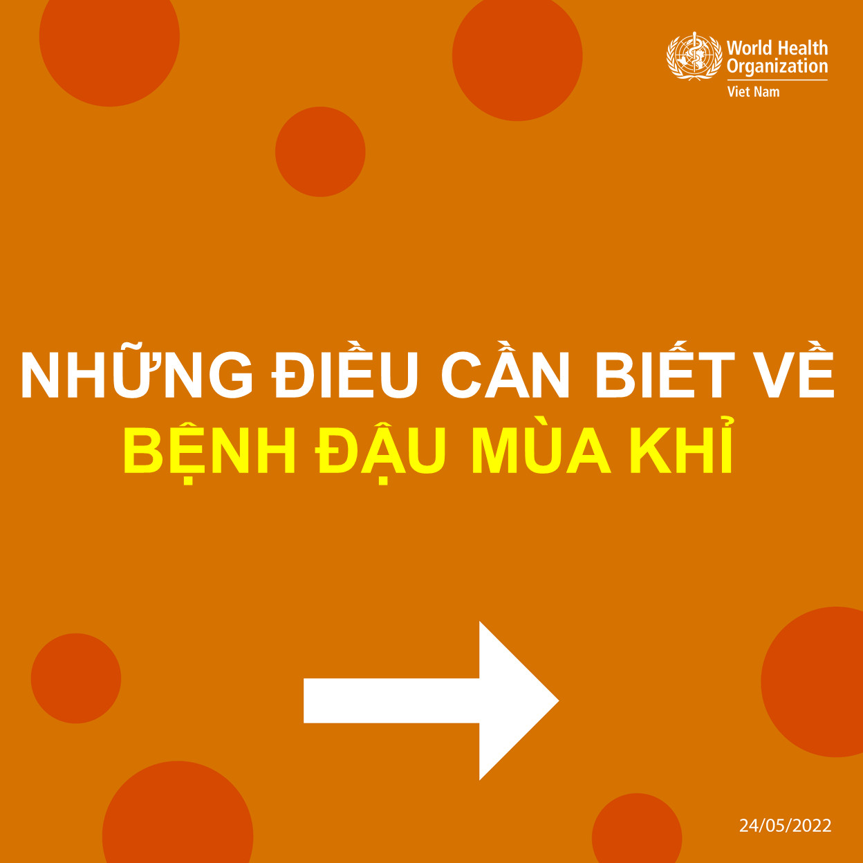 Tổ chức Y tế Thế giới (WHO) đã cập nhật tài liệu Hỏi Đáp về bệnh Đậu mùa khỉ (bản Tiếng Việt)