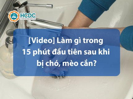 [Video] Làm gì trong 15 phút đầu tiên sau khi bị chó, mèo cắn?